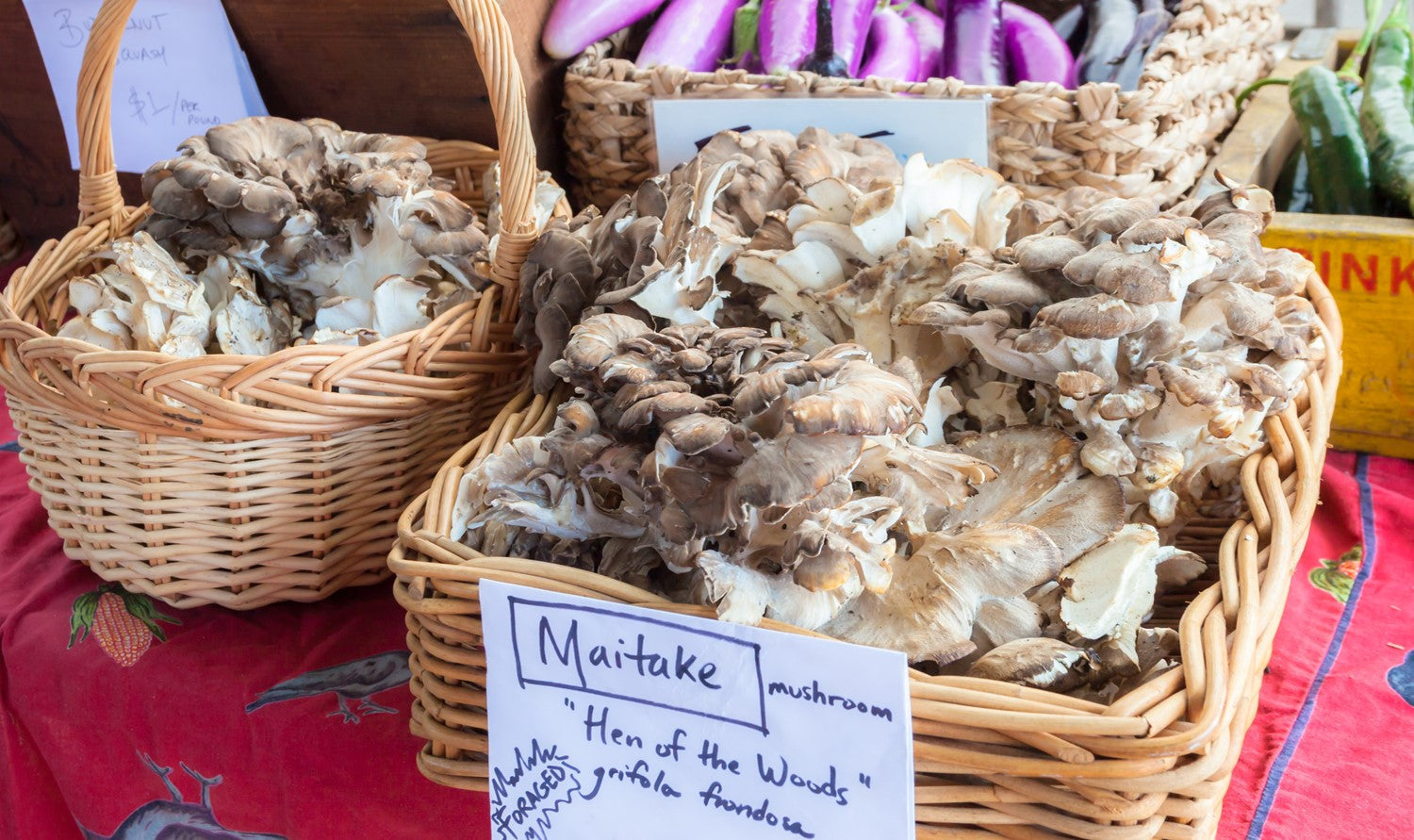 basket of Maitake mushrooms