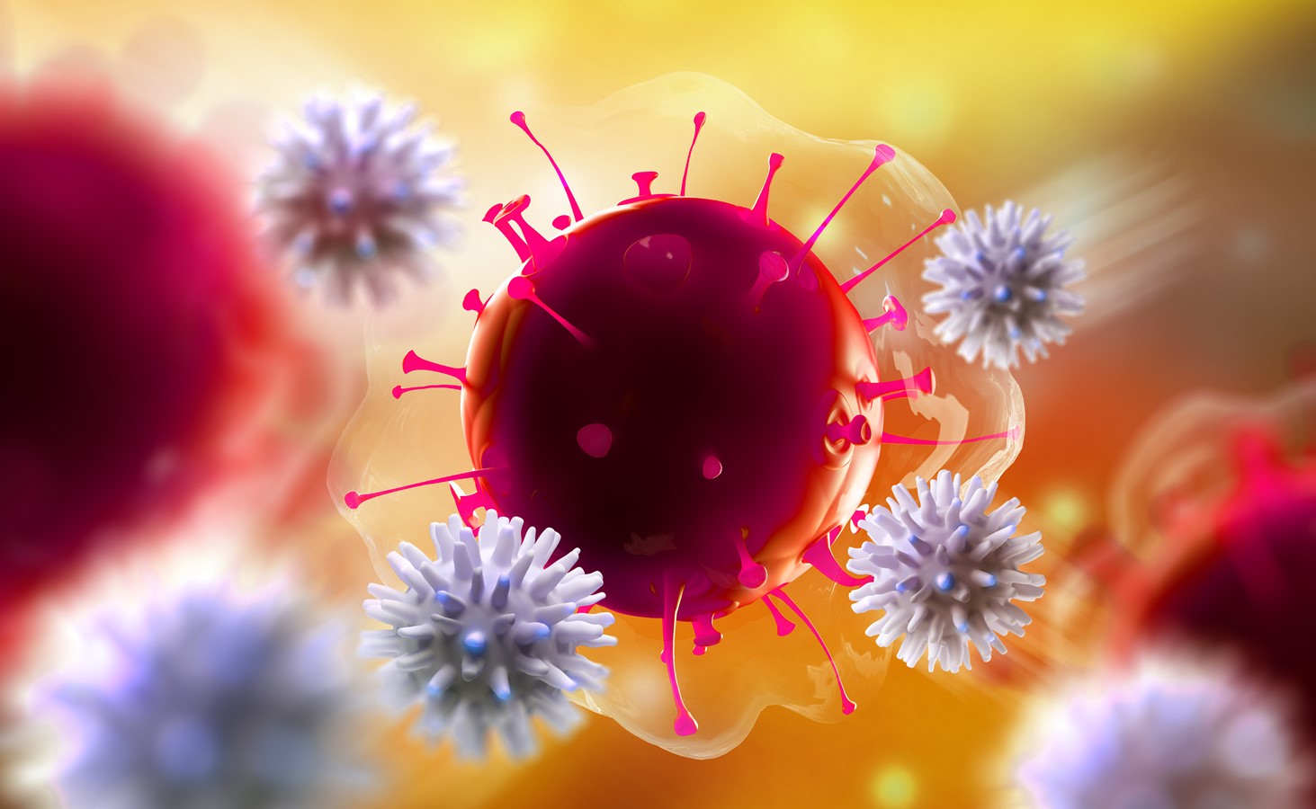 red and purple bacteria