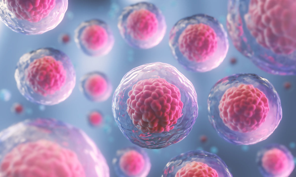 Cellnergy Wellness Transforming Lives by Unlocking Vitality