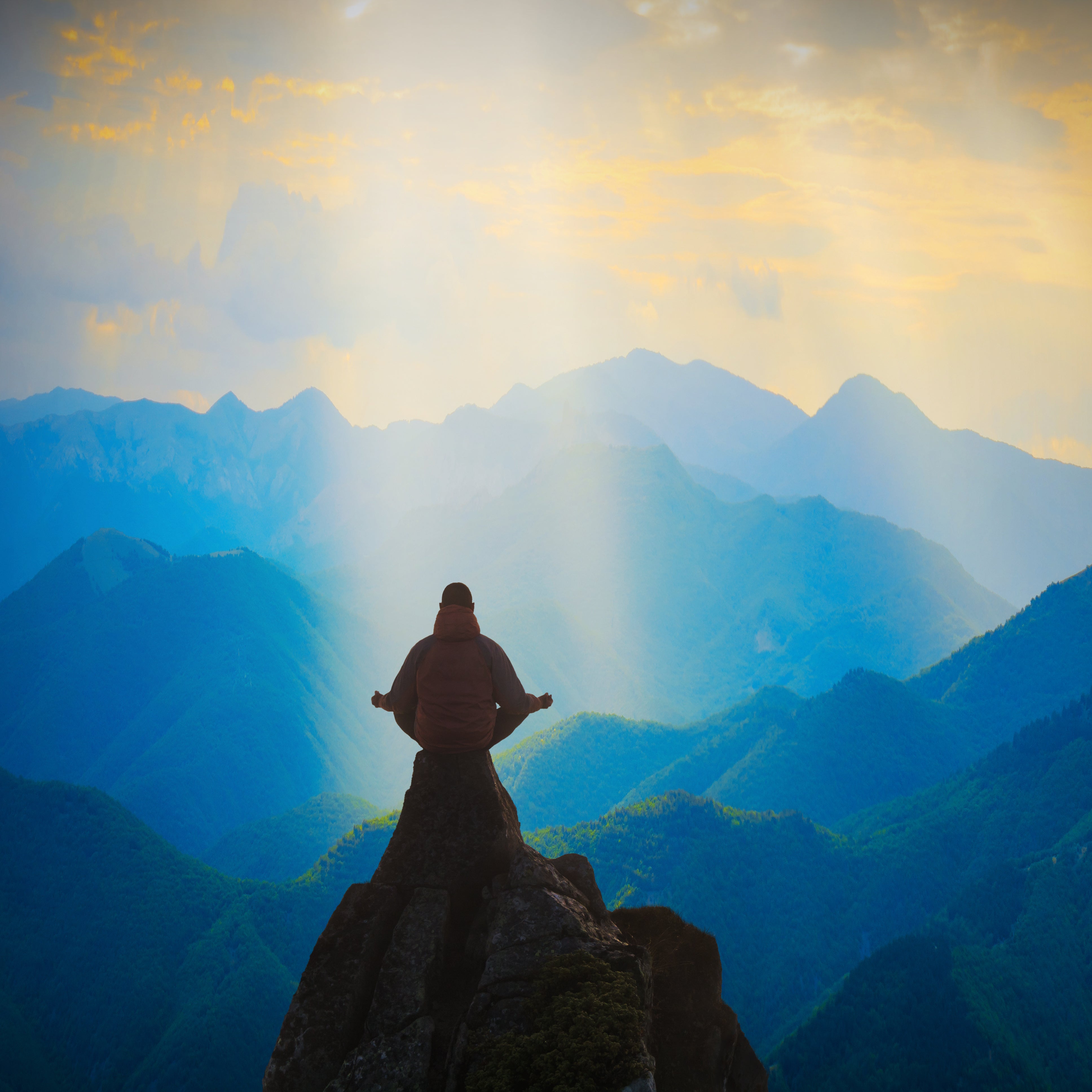 top wellness trends 2023 health supplements yoga meditation adaptogens mushrooms