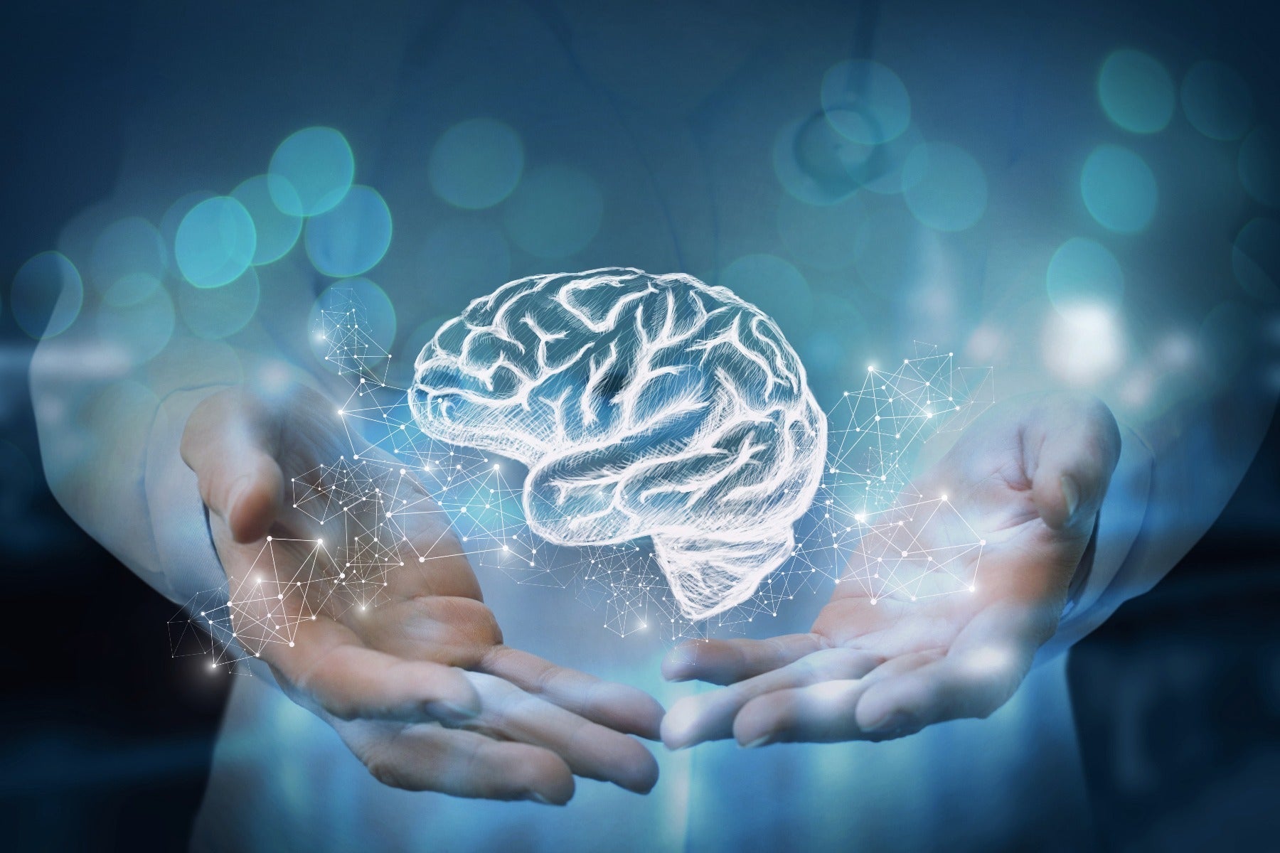 photo of digital brain