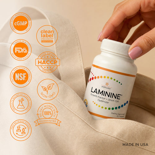 LAMININE