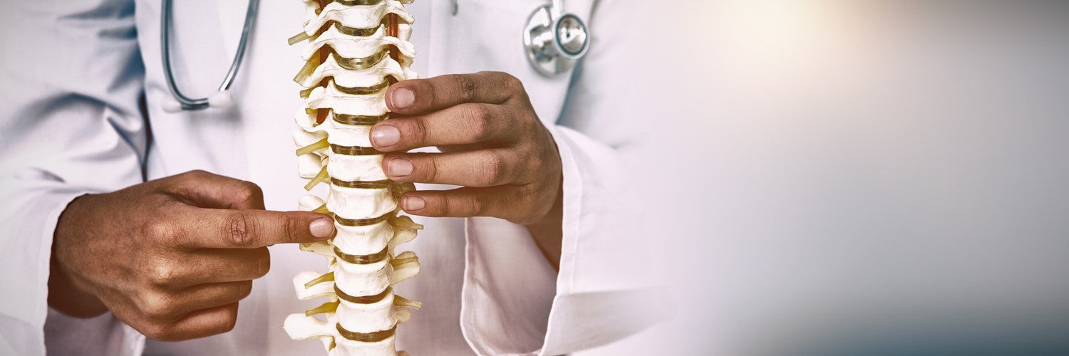 doctor pointing at spine