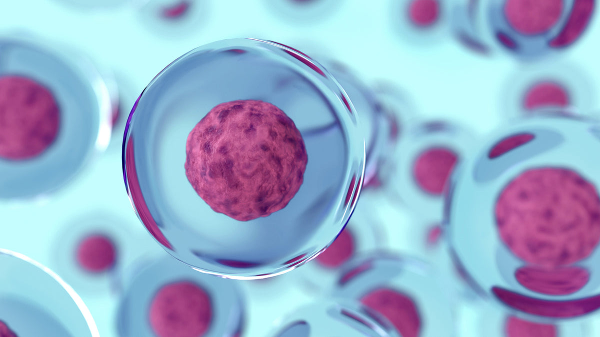 stem cells cell therapy healthcare arthritis osteoarthritis anti aging healing heal