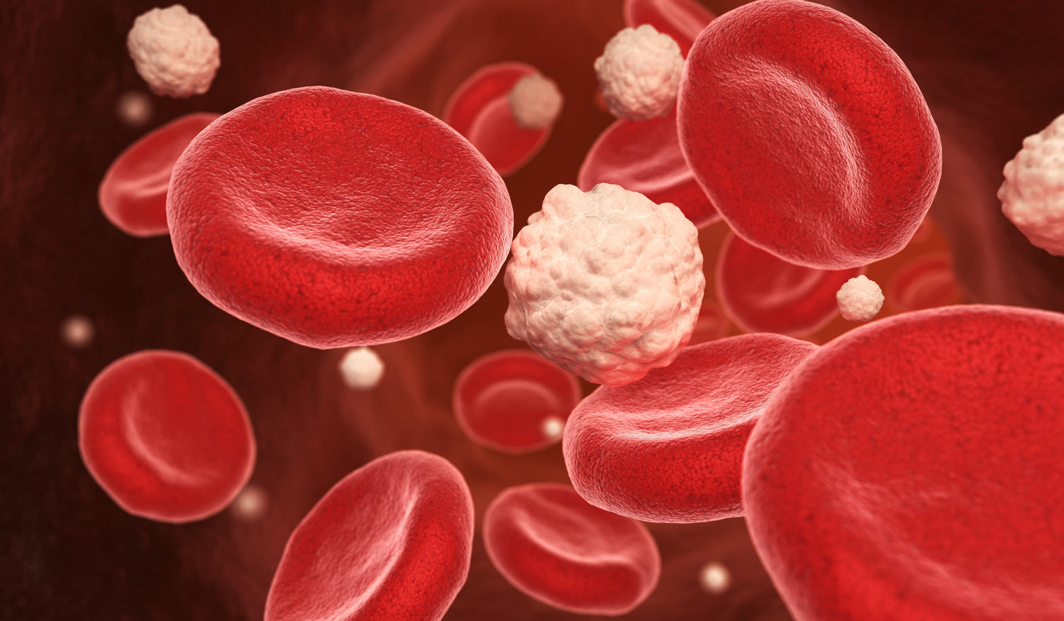 blood vessles