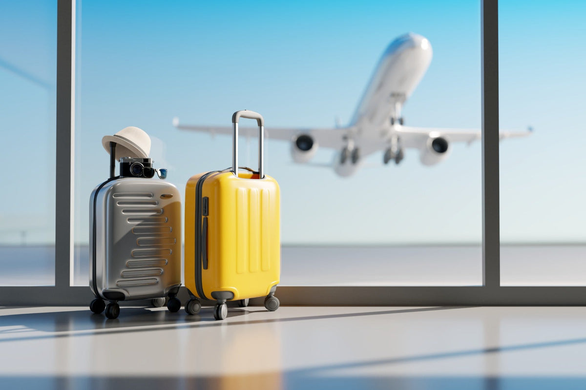 suitcases and plane taking off